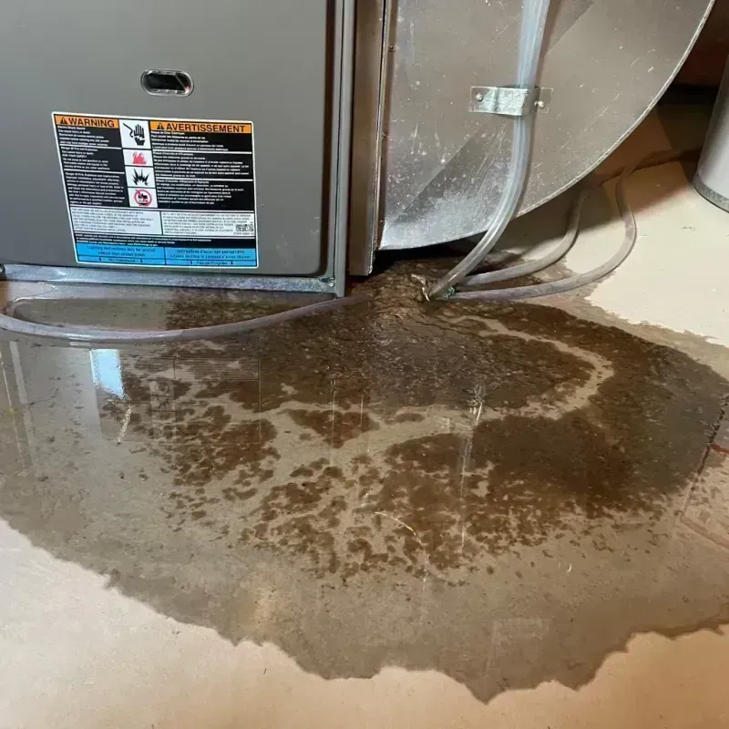 Appliance Leak Cleanup in Mound City, IL